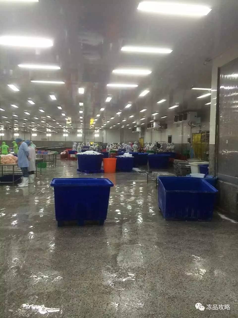 巴沙鱼涨价潮下，餐饮人接不接受高价？越南工厂实录揭示的供应链困局